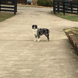 Meet your Posher, Meghan